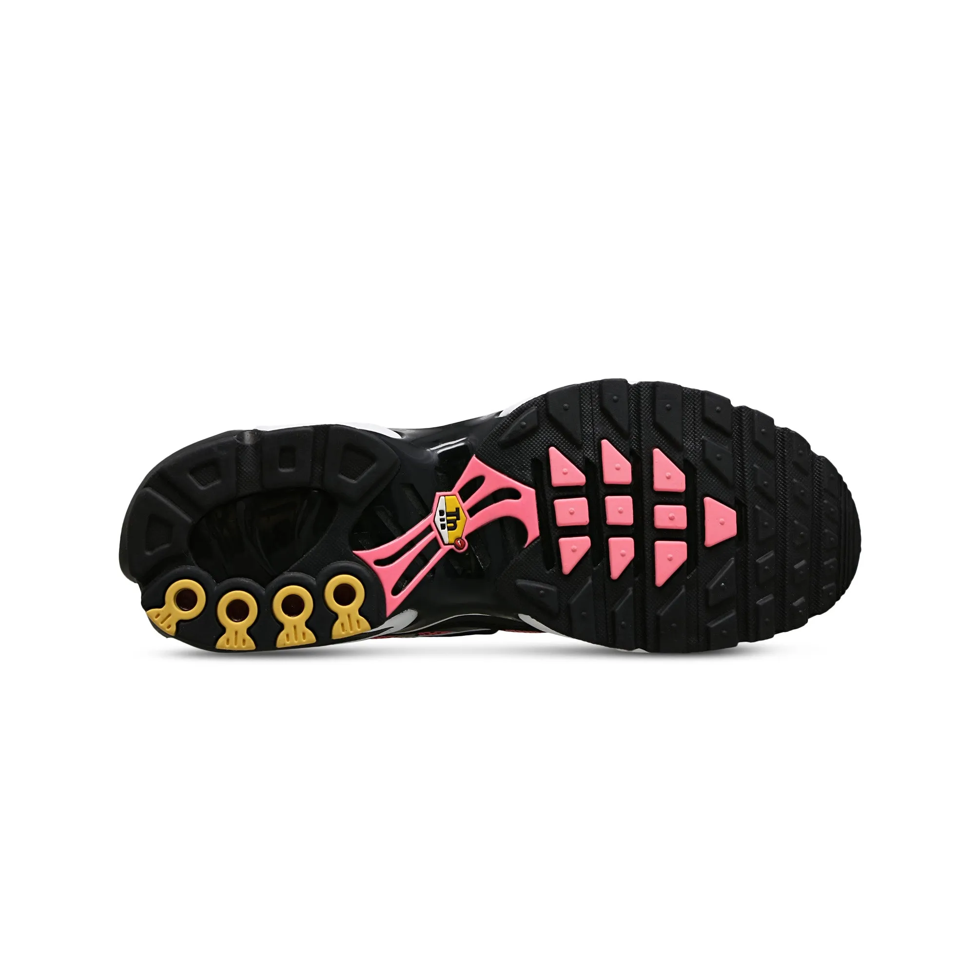 Vaporized Midsole Nike Air Max Plus TN 'All Day' (2024)