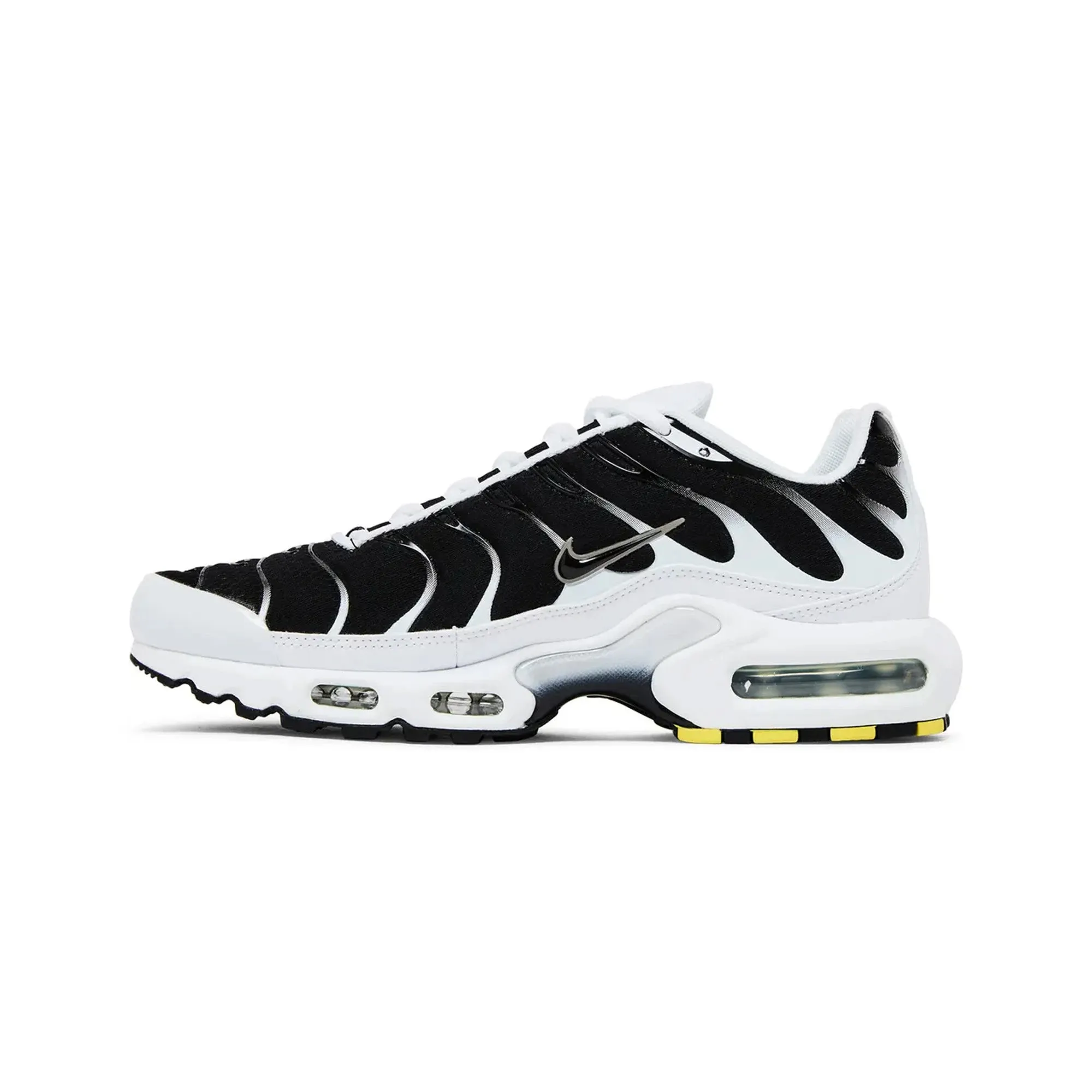 Snowy Terrain Nike Air Max Plus TN 'Killer Whale' (2020)