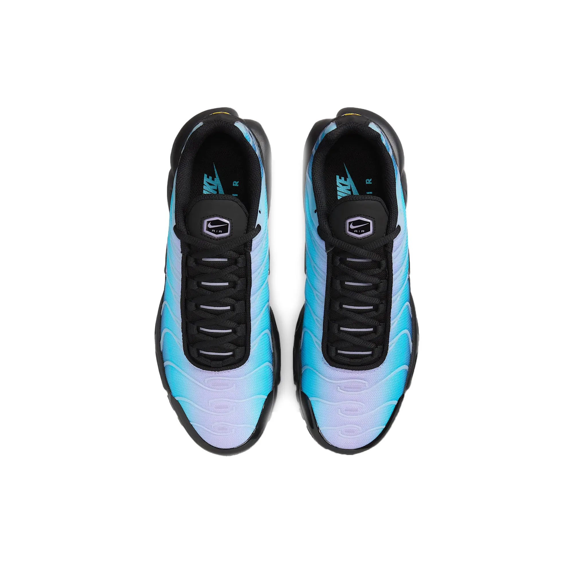 foam - sole - feature shoes Max Air Nike Air Max Plus TN 'Black Hydrangeas' Women's