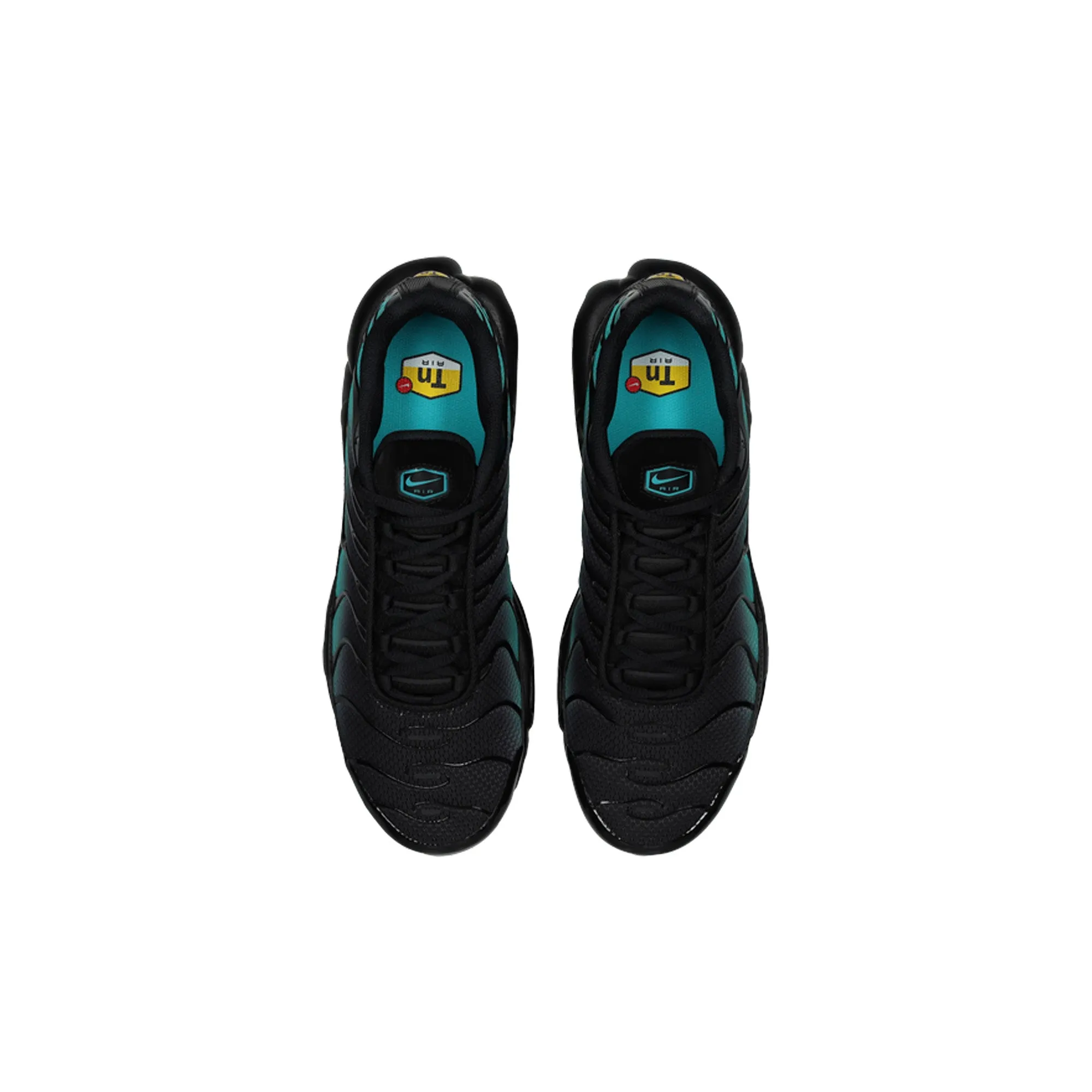 Nike Air Max Plus TN 'Black Dusty Cactus' (2025) Gorgeous appearance