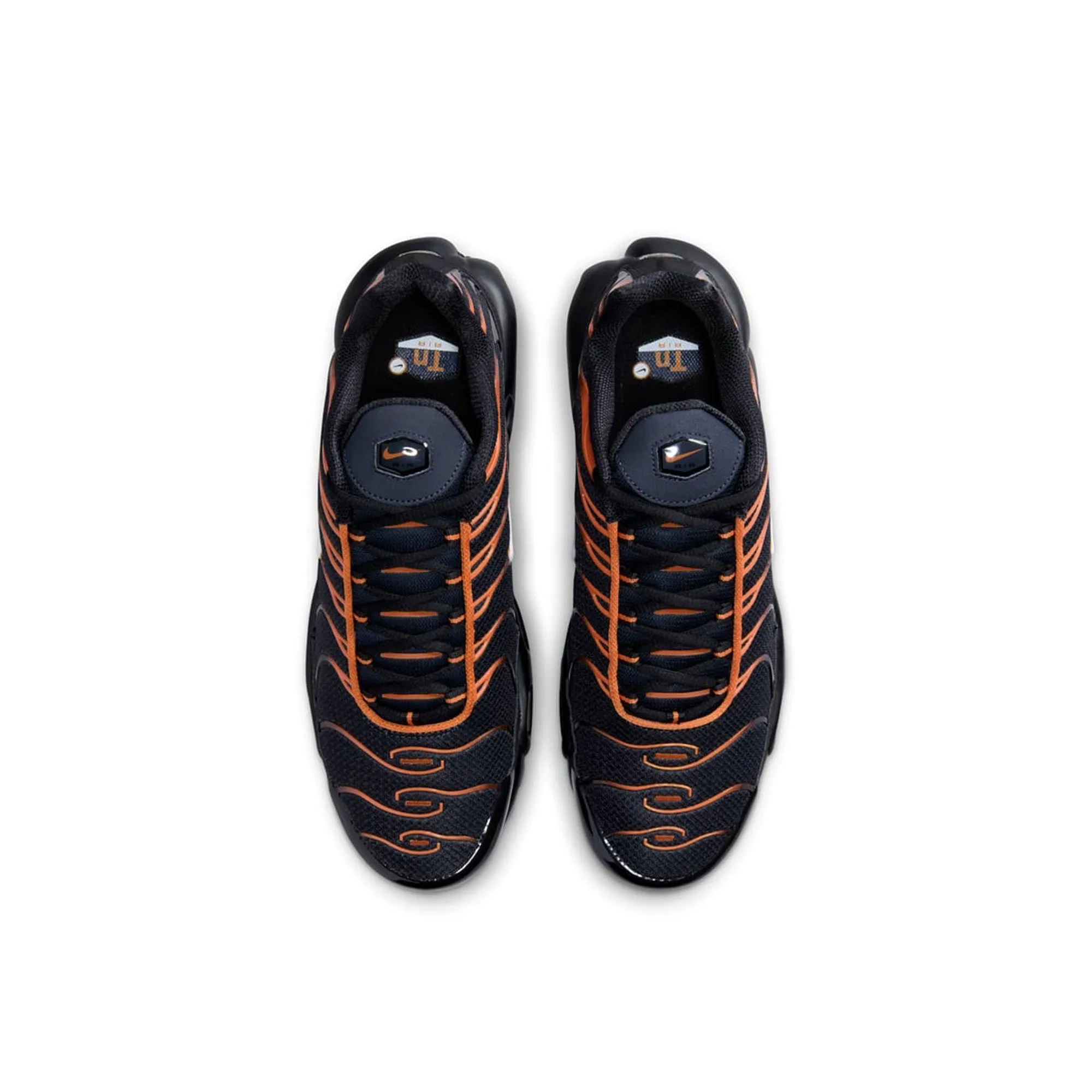 Nike Air Max Plus TN 'Dark Obsidian Monarch' (2024) high - impact flat - sole shoes