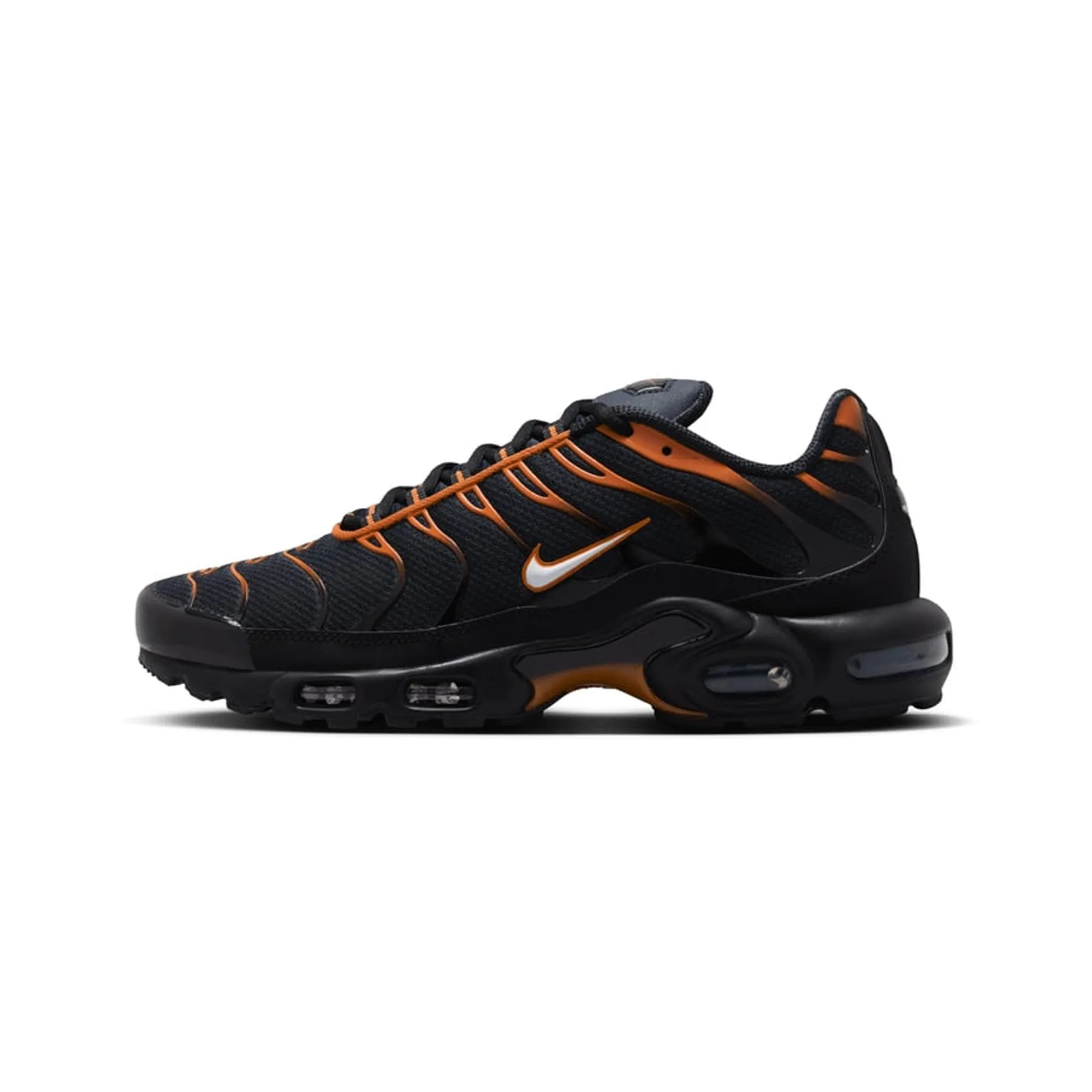 for exercise Nike Air Max Plus TN 'Dark Obsidian Monarch' (2024)